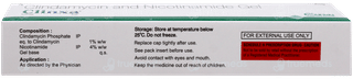 Clinxa Gel 20Gm